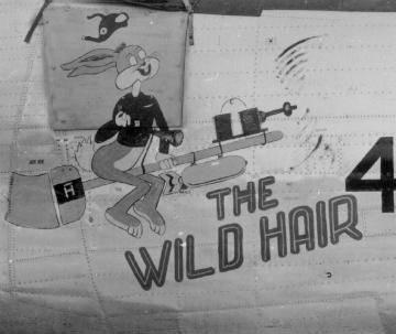 USAAF nose art for 